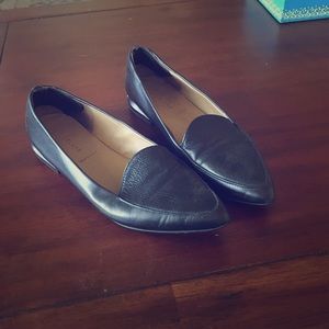 Everlane Modern Point